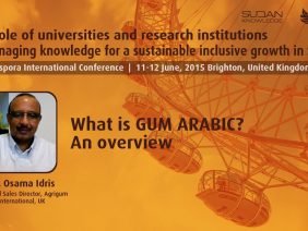 What is GUM ARABIC? An overview