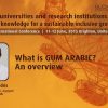 What is GUM ARABIC? An overview